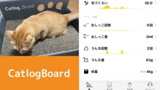 Catlogboard キャットログボード