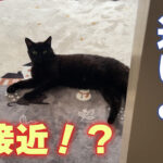 YouTubeショートの失敗作？