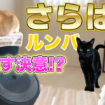 とうとうルンバを手放してしまったᓚᘏᗢ