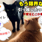 また壊れたってどういうこと…😇