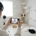 ペットカメラは失敗？心配した方がいいのか中華製！？