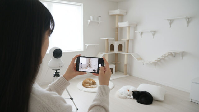 ペットカメラの映像をスマホで見る女性